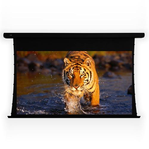 ELUNEVISION Reference Studio Motorized Tab-Tensioned 16:9 Projector Screen, 112" (EVT311210) - Extreme Electronics