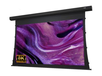 EluneVision AudioWeave EVO 8K Tab-Tensioned Screen - EV8K-T3AW-120-1.15