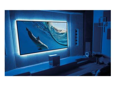 EluneVision 120" 2.35:1 Aurora NanoEdge ALR 4K Fixed-Frame Screen - EV-ZL-120-1.3-2.35