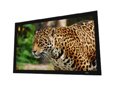 EluneVision 110" 16:9 Aurora Fixed Frame Ambient Light Rejection Fixed-Frame Screen - EV-Z-110-1.3