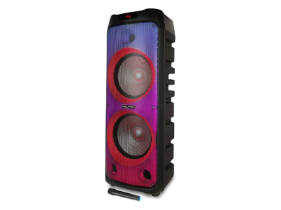 12" Dolphin Portable Outdoor Speaker with Fire Light - SPF-1212R